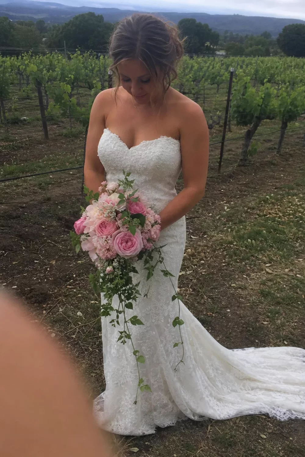 Bride holding a pink wedding bouquet with trailing ivy in a vineyard